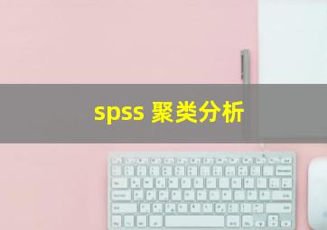 spss 聚类分析